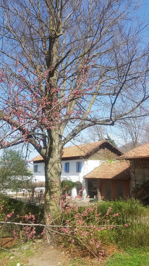 B&B Il Gatto Nero Castelveccana Exterior photo